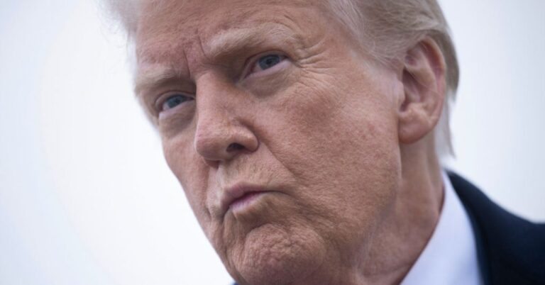 Maga voters, do you have a plan to vote for Democrats in the middle session — why or why not